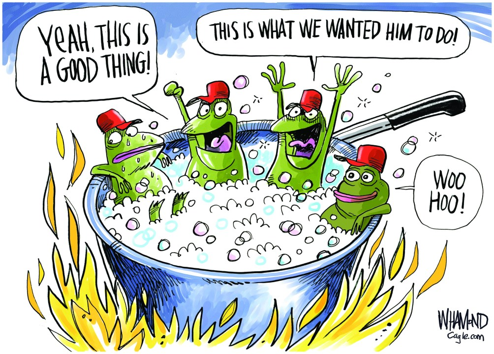 Frogs wearing red caps in a pot of boiling water. Several speech bubbles with text:
"Yeah this is a good thing!" 
"This is what we wanted him to do" 
"Woo hoo!"